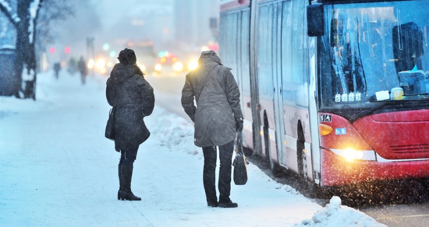 snow bus travel