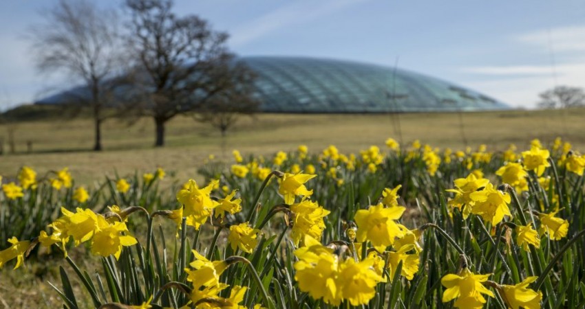 Creative Commons- Attribution (BY): Tim Jones, National Botanic Garden of Wales