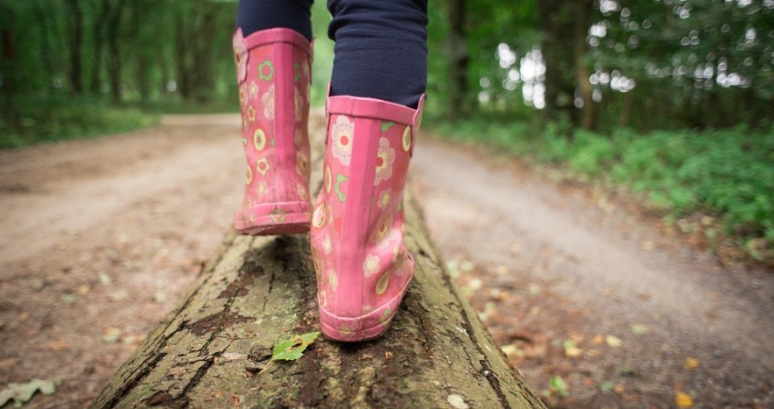 Beth sydd ymlaen yng Nghymru yn ystod gwyliau hanner tymor Chwefror?