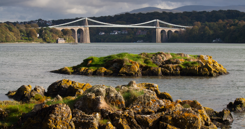 Gwaith i ddatrys problemau diogelwch yn dechrau ar Bont Menai