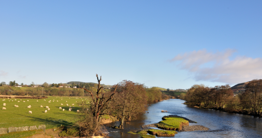Gwasanaeth Bws Newydd TrawsCymru ar gyfer Gogledd Cymru Gwasanaeth Bws Newydd TrawsCymru ar gyfer Gogledd Cymru