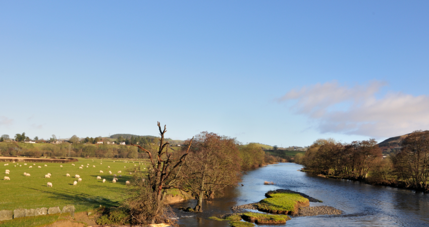 Gwasanaeth Bws Newydd TrawsCymru ar gyfer Gogledd Cymru